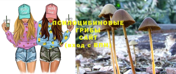 амф Баксан